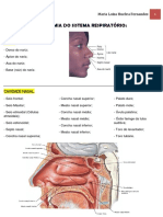 Anatomia do Sistema Respiratório.pdf