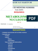 BQ 17 Chi 10 Nucleotidos Heli