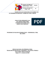 Corrección Programa de Vigilancia Epidemiológica Pronto Printer S.A.S.