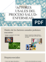 Factores Causales Del Proceso Salud-Enfermead