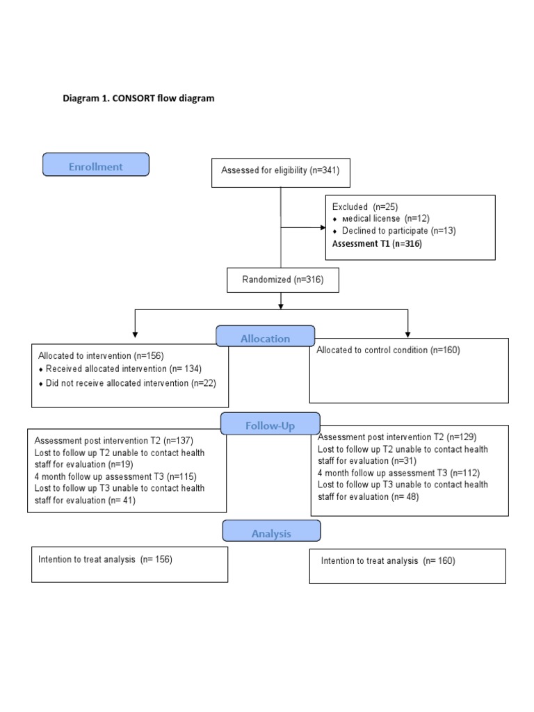 CONSORT Flow Diagram for RCT Analysis | PDF