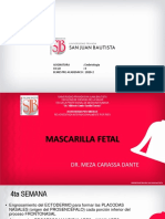 Mascarilla Fetal. Semana 14