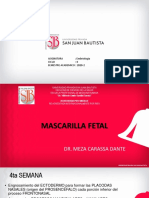 Mascarilla Fetal. Semana 14 PDF