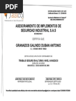 Cmic Constancia | PDF