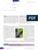 Dcm134o PDF
