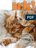 Cat Care Guide PDF