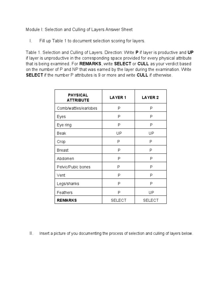 (Template) Module I Selection and Culling of Layers Answer Sheet | PDF