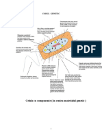 Codul Genetic Completare