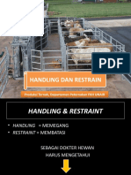 Handling & Restraint