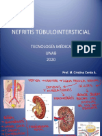 Nefritis Túbulointersticial 2020 v3 Final - Compressed