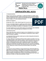PRÁCTICA 1 CONTAMINACIÓN D PDF