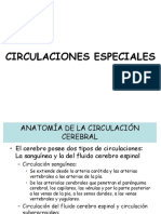 9. Circulaciones Especiales.pdf