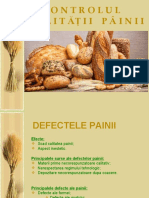 Defectele Painii