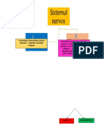 Sistem Nervos Prezentare Lecție 1