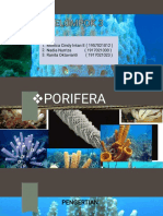 Porifera - Kelompok 3