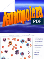 Hemopoieza (EMO 2018) - 23031