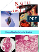 Sîngele_şi_limfa(EMO2019)-22740