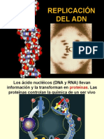 REPLICACION ADN.ppt