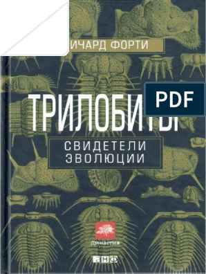 Две великолепных самки скачут на члене счастливчика