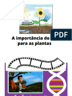 Fotossintese SC PDF