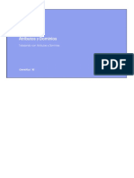 6-WorkingWithAttributesAndDomains N1 SP PDF