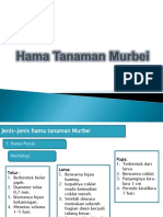 Hama Tanaman Murbei PDF