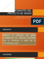 Componentes Del Proyecto y Perfil de Grado