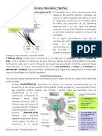 2-Fisio Endocrino - Clase 2