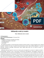 8__Inflamația_acută_şi_cronică_-24688