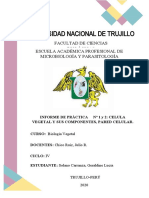 Informe Practica