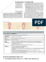 2° Cuatrimestre tp 9 Ciclo menstrual, las hormonas  y su función en la reproducción