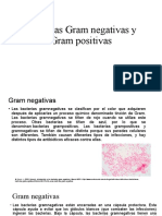 Bacterias Gram Negativas y Gram Positivas