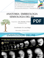 Embriologia y anatomía del pie