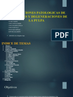 Exposicion Endo Reabsorciones Patologicas Dentales y Degeneraciones de La Pulpa