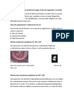 Selección de Dientes Posteriores Según El Tipo de Angulación y Mordida