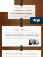 Manejo, Archivo y Custodia de Las Cédulas de Auditoría PDF