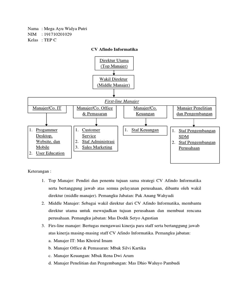 Struktur Manajemen CV Afindo Informatika | PDF