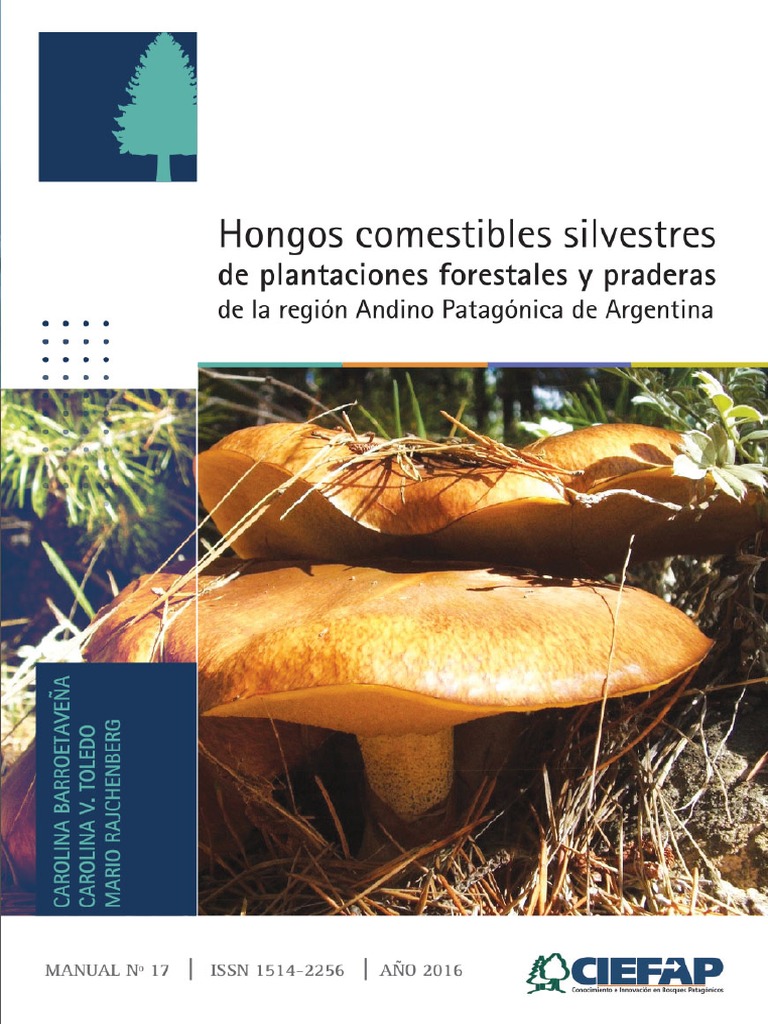 Manual Hongos Bosque Implantado PDF PDF Hongo Plantas