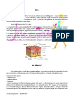 GUIA MICROBLADING PDF.pdf