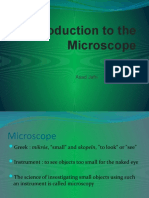Introduction To The Microscope