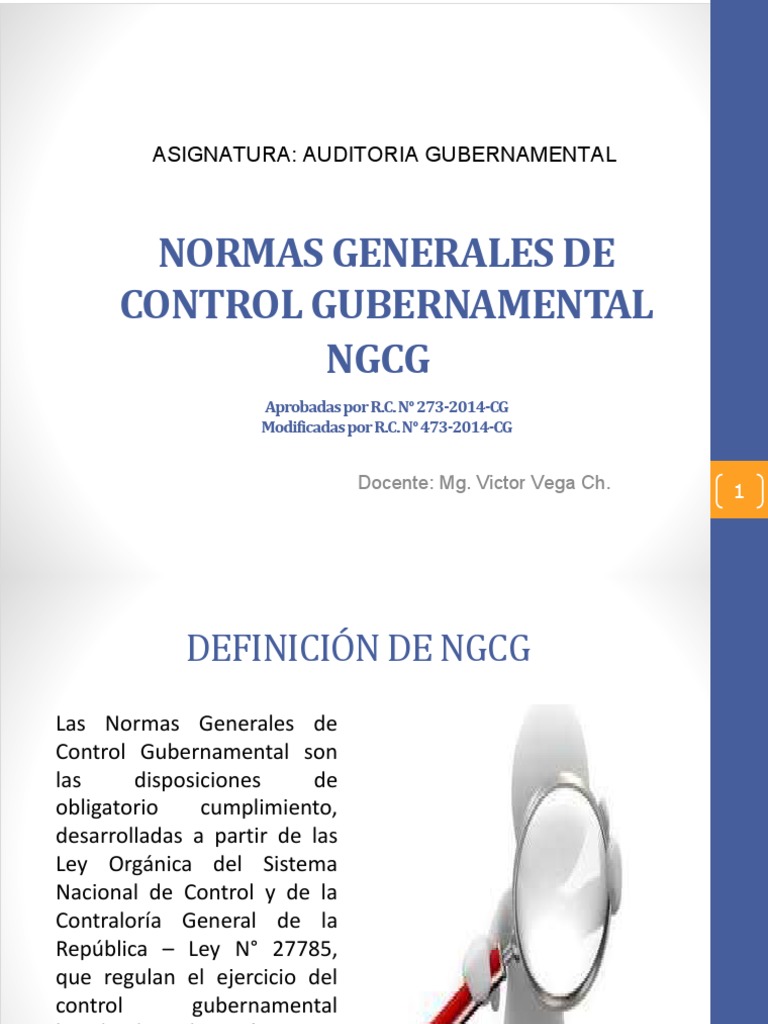 Normas de Control Gubernamental 2023 | PDF | Auditoría | Responsabilidad