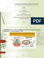 Act 3 Biología