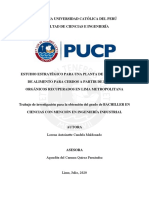 Estudioestrategico PDF
