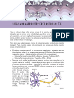 Relación de La Psicología Con La Biología