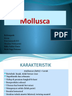 Kelompok 4 Mollusca.pptx