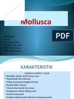 Kelompok 4 Mollusca