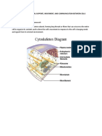 Organelles For Structural Support, Movement, and Communication Between Cells Cytoskeletons