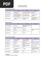 Cat Muscles - Origin, Insertion, Action