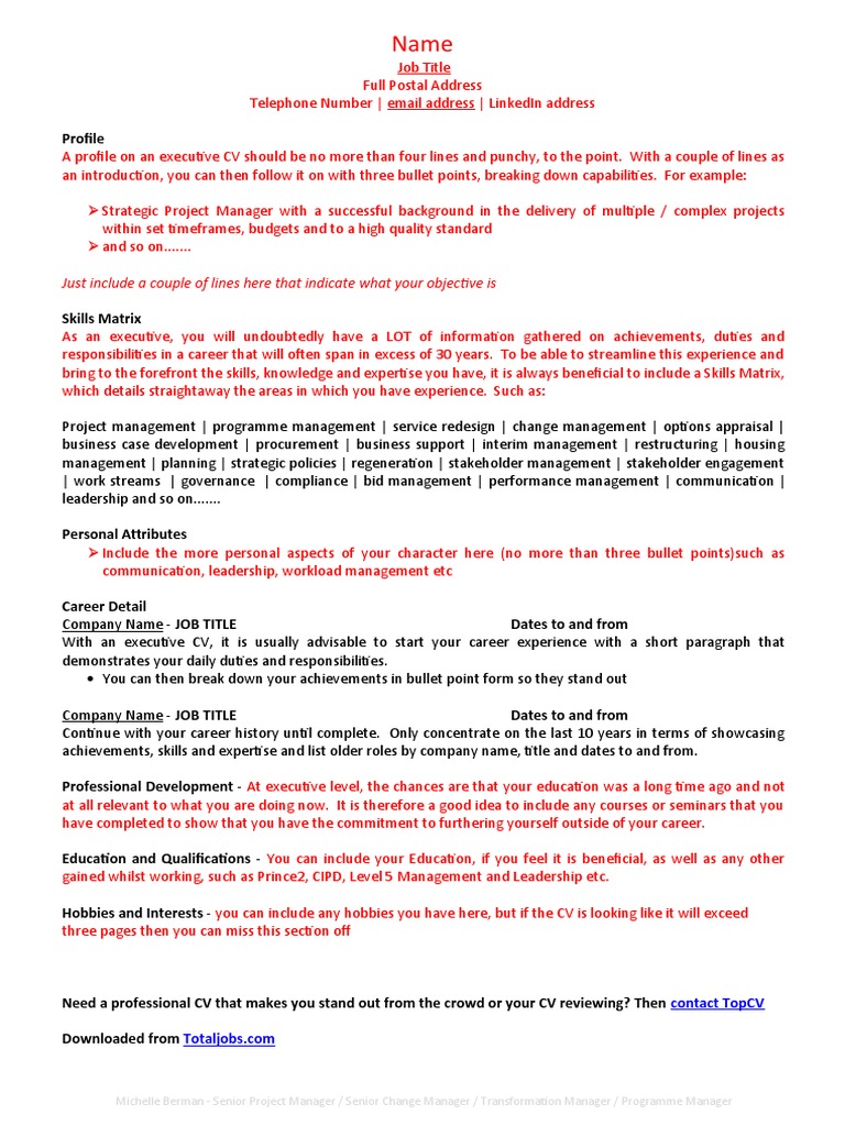 Career Climber CV Template | PDF | Business | Cognition
