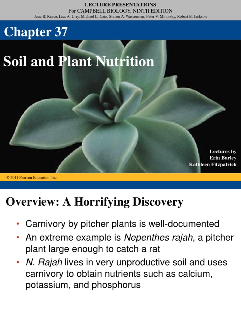 2.1 Soil Nutrition and Intro To Plant Nutrition PDF | PDF | Plant ...